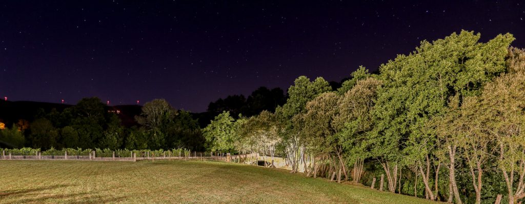 noite_quinta do caminho