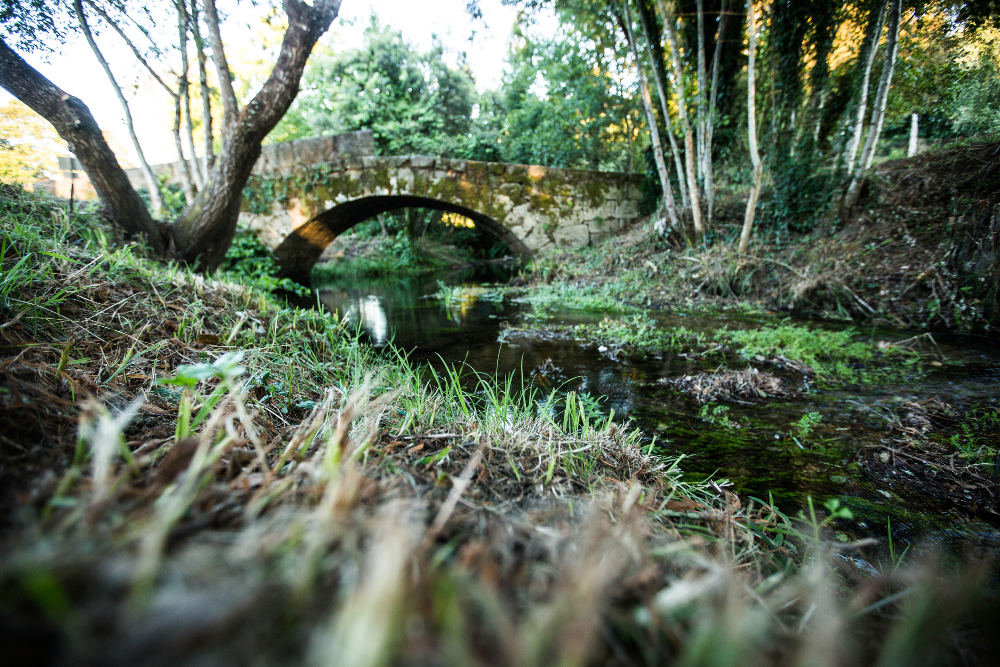 Ponte Romana da Pedreira_quinta_do_caminho