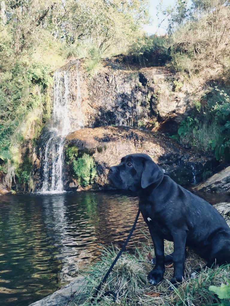 cascata_da_grova_cerdal_valenca_do_minho